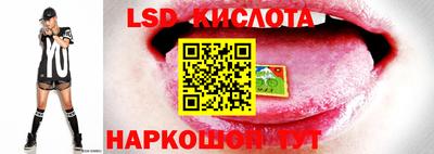 стафф Конаково